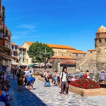 Petit Nid Catalan , 10 Minutes Des Plages Perpignan Bagian luar foto