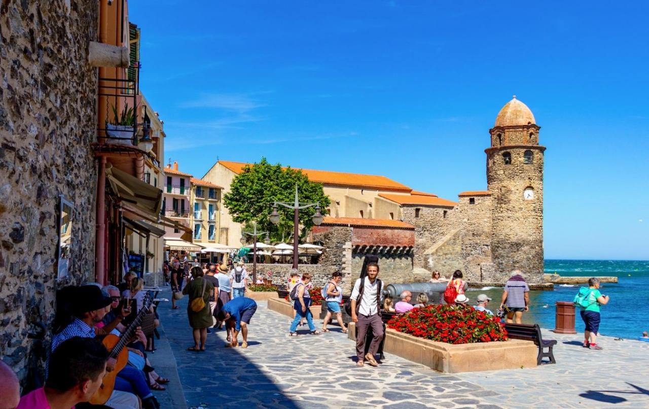 Petit Nid Catalan , 10 Minutes Des Plages Perpignan Bagian luar foto